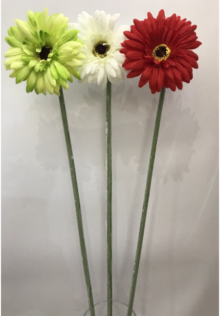 Flor Gerbera 