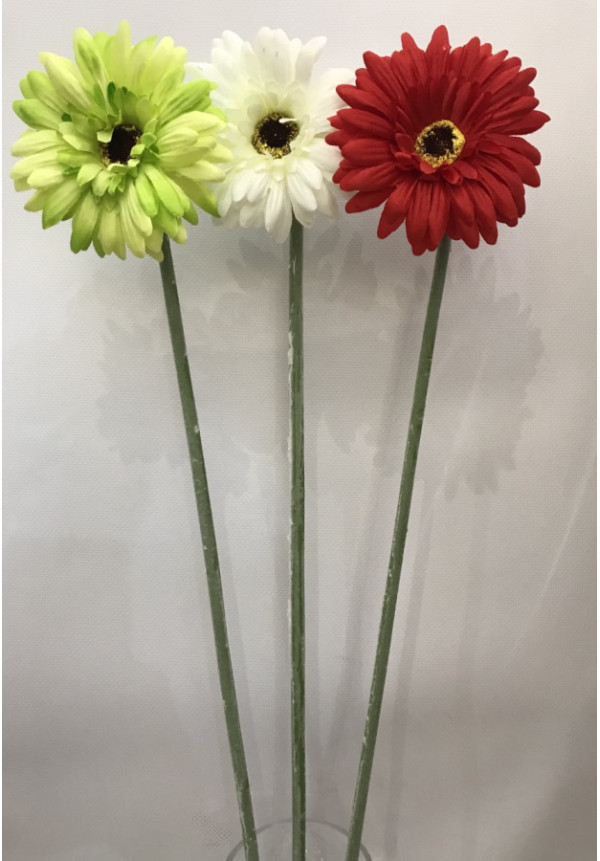 Flor Gerbera 