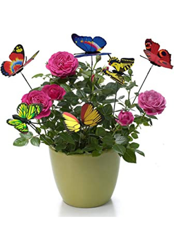 Mariposa de maceta