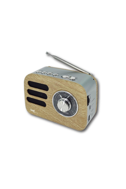 RADIO VINTAGE 60s PÑA ROBLE DIAL ANALOG. AM/FM/SW/