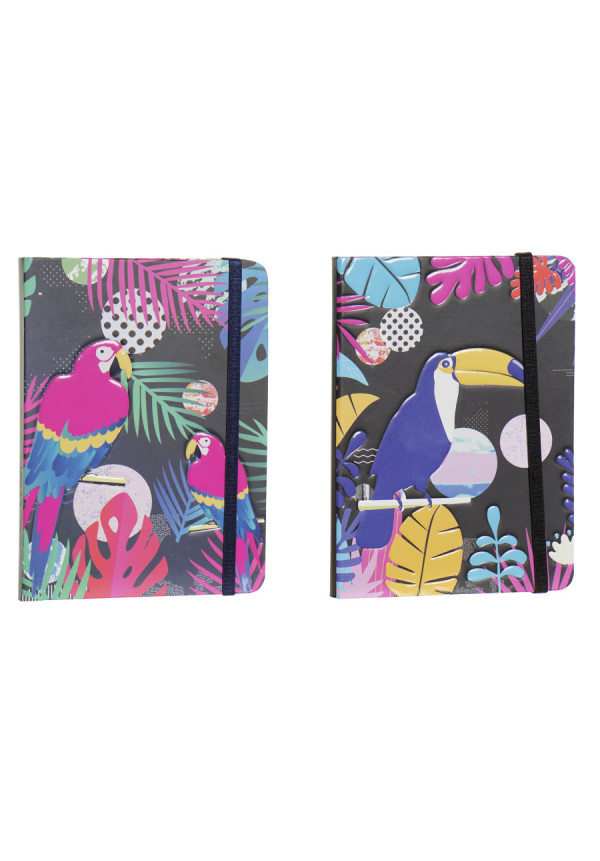 LIBRETA CARTON PAPEL 13X1,2X18 AVES 2 SURT.