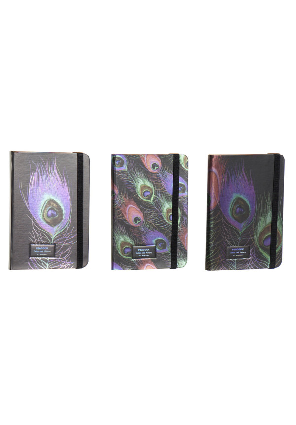 LIBRETA CARTON 9,5X1,5X14 80H, HOLOGRAMA 3 SURT