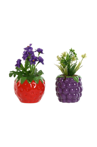 PLANTA DOLOMITE PE 10,5X10,5X18,5 FRUTA 2 SURT.