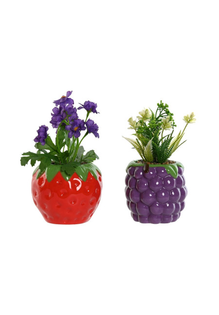 PLANTA DOLOMITE PE 10,5X10,5X18,5 FRUTA 2 SURT.