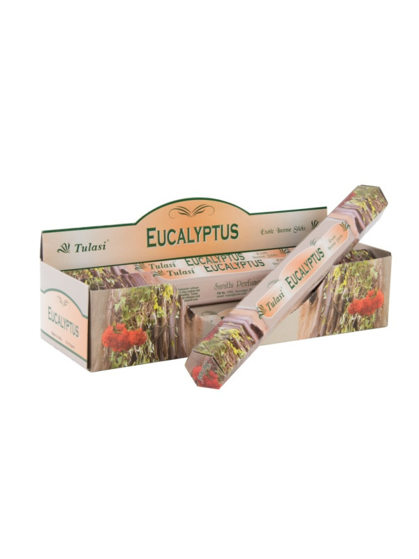 INCIENSO VARILLA SET 20 AROMA 25X4X4 25 CM, EUCALIPTO