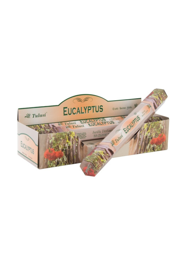 INCIENSO VARILLA SET 20 AROMA 25X4X4 25 CM, EUCALIPTO