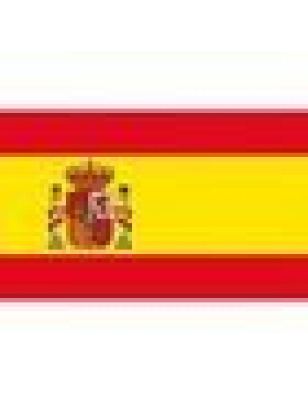 Bandera España mediana 60x90cm